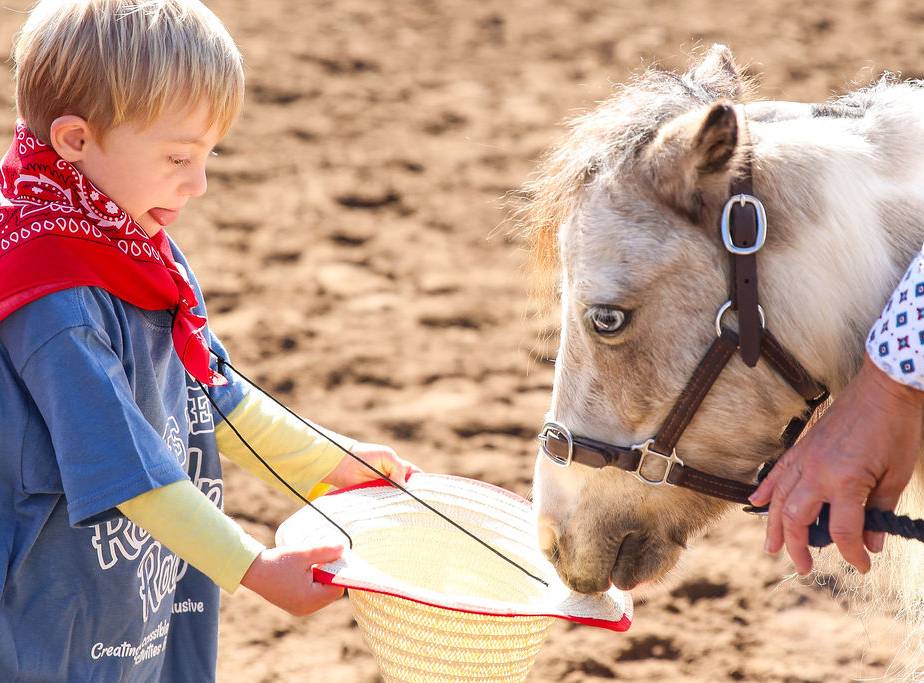 Child with Small Horse